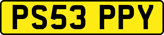 PS53PPY