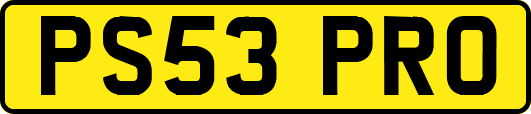 PS53PRO