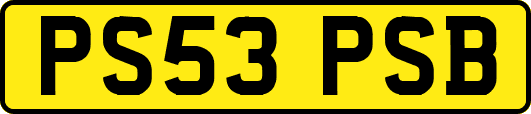 PS53PSB