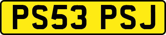PS53PSJ