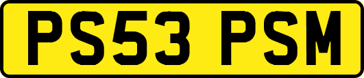 PS53PSM