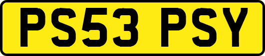 PS53PSY
