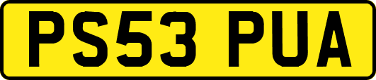 PS53PUA