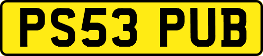 PS53PUB