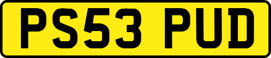 PS53PUD