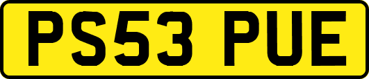 PS53PUE