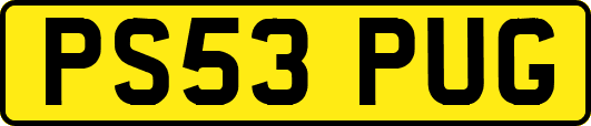 PS53PUG