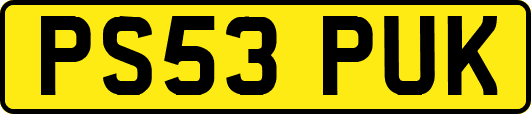 PS53PUK