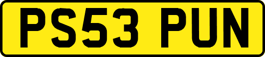 PS53PUN