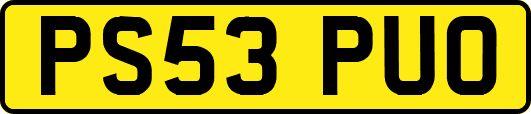 PS53PUO