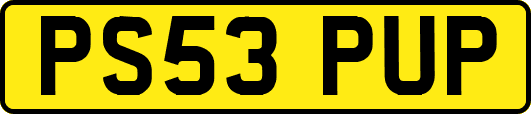 PS53PUP