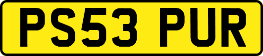 PS53PUR