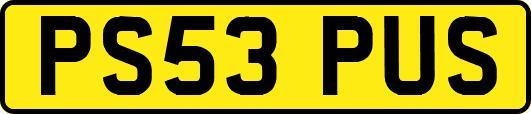 PS53PUS