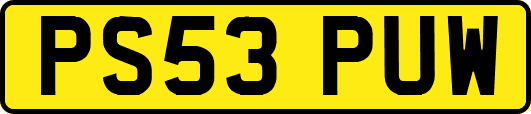 PS53PUW