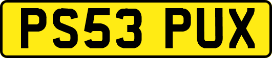 PS53PUX