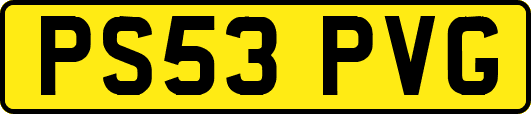 PS53PVG