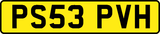 PS53PVH