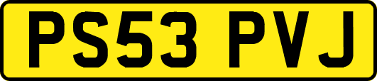 PS53PVJ