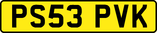 PS53PVK