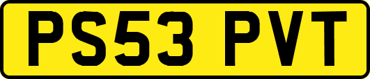 PS53PVT