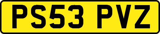 PS53PVZ