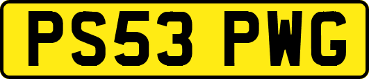 PS53PWG