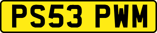 PS53PWM