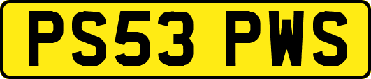 PS53PWS