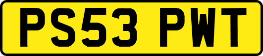PS53PWT