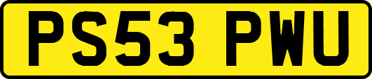 PS53PWU