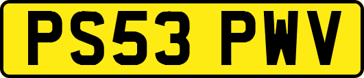 PS53PWV