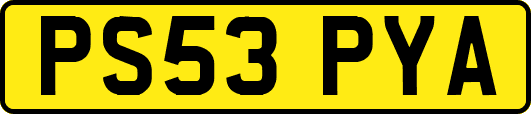 PS53PYA