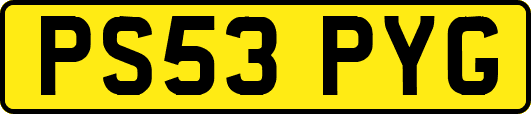 PS53PYG