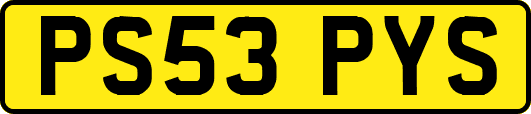 PS53PYS