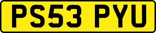 PS53PYU