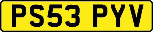 PS53PYV