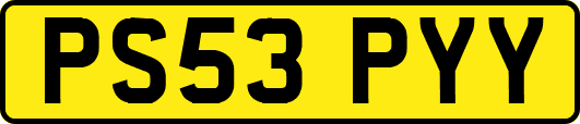PS53PYY