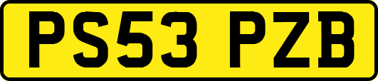 PS53PZB