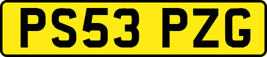 PS53PZG