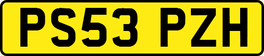 PS53PZH