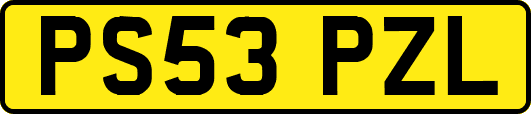 PS53PZL