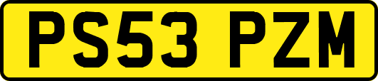PS53PZM
