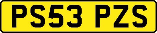 PS53PZS