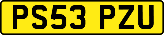 PS53PZU