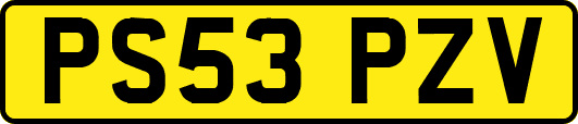 PS53PZV