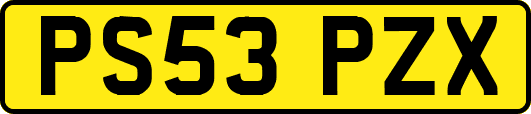 PS53PZX