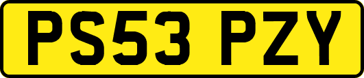 PS53PZY