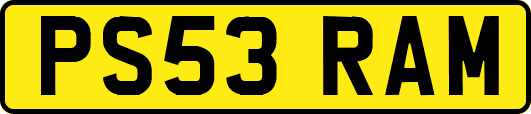 PS53RAM