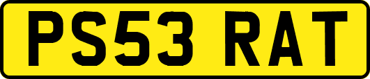 PS53RAT