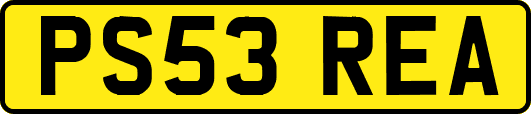 PS53REA